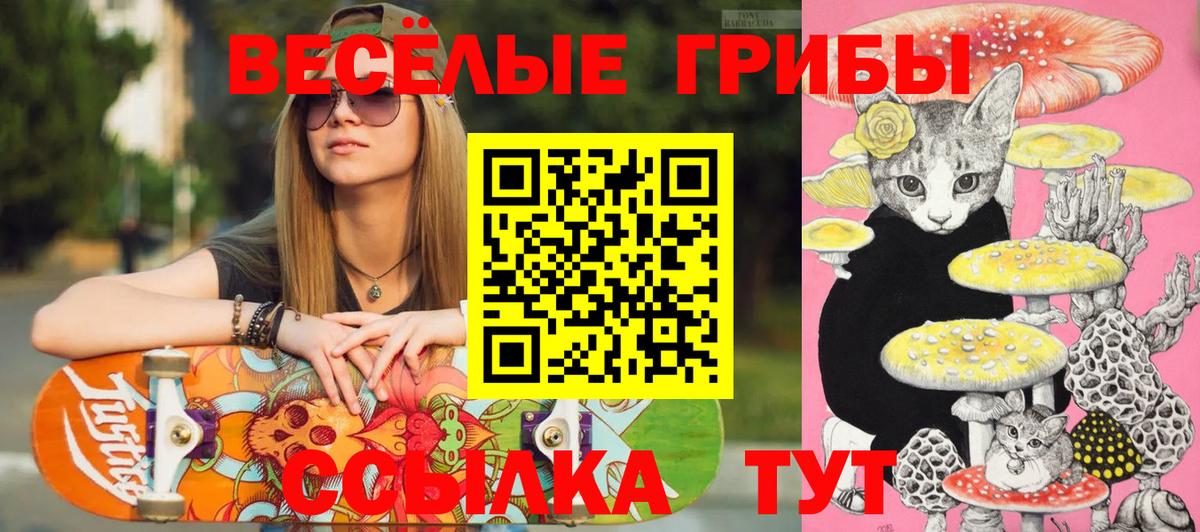 Галлюциногенные грибы мицелий  Вход с VPN  Кыштым  Псилоцибиновые грибы мицелий 