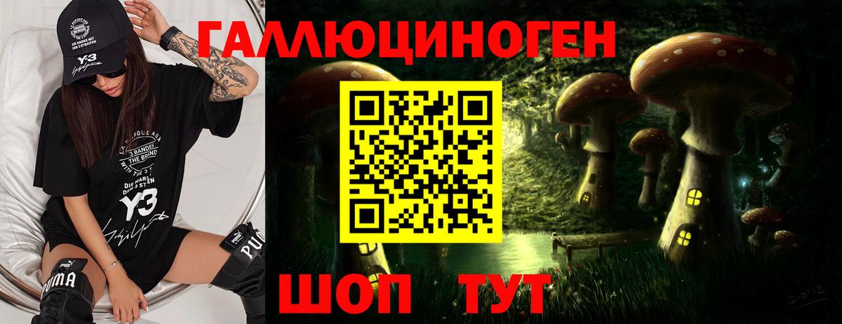 Галлюциногенные грибы Cubensis Кыштым